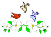 Flowers and Birds