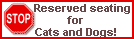 Free Slogan Banner