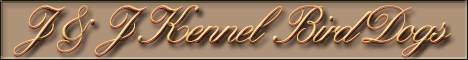 J & J Kennel - Bird Dogs - Pointers,Labradors