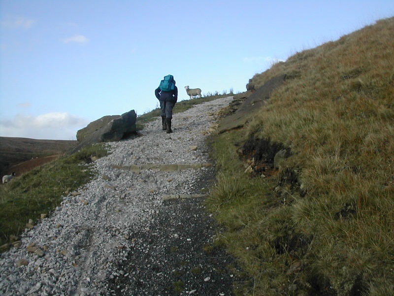 Climbing up....