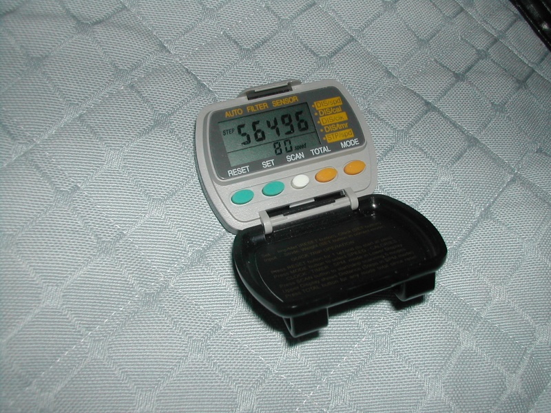 Pedometer Reading