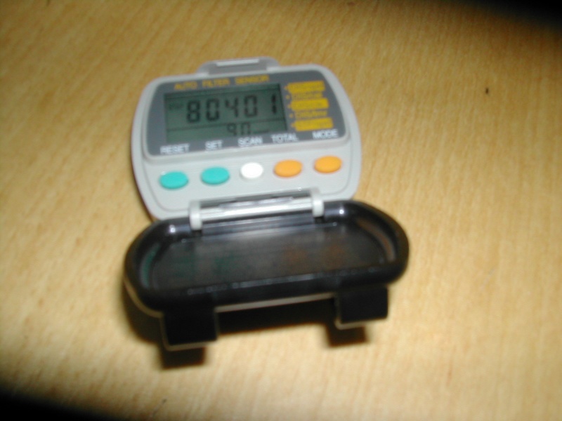 Final pedometer reading (I think the real total steps was about 180,000!)