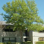 Condo Exterior