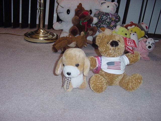 These are a small collection of our stuffed animals