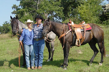 J & J Paints and Quarter Horses