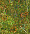 Groovy-flowers.jpg (142856 bytes)