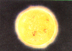 sol1.jpg (69225 bytes)