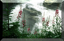 Athabasca Falls - Click To Enlarge