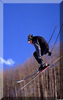 Skier Jumping
