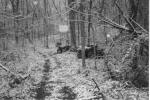 our 4 wheelers on a snowy winters day in the deer-woods