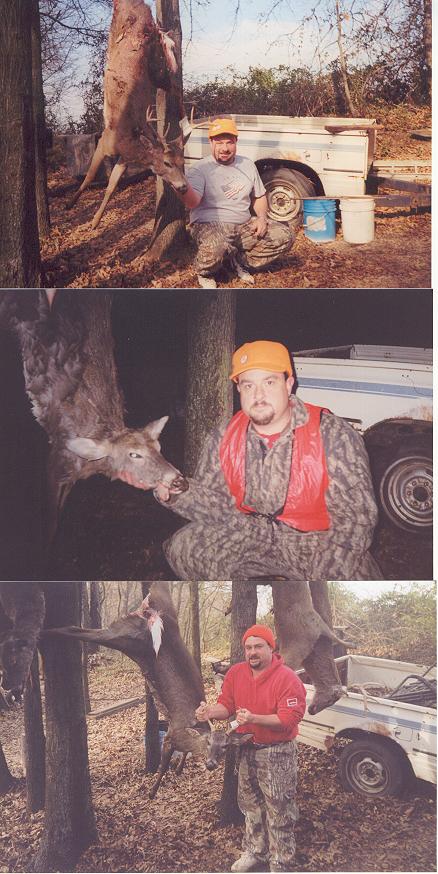 Joes' deer