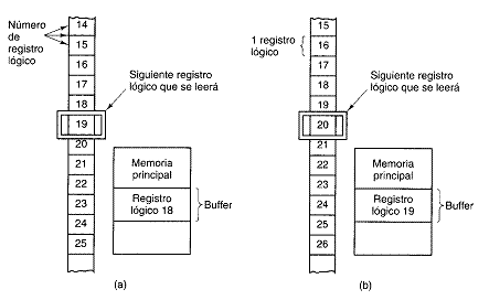 imagen5