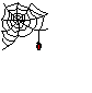 Look out for the spider Max.