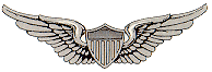 Army Aviator Wings.