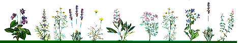 Here are some flowers for Kimberly.