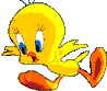 Tweetie Bird!