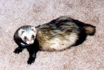 Glamour Shot!! Everyone look at me!!