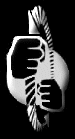 PFS Progressive Fighting Systems
