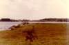 Lake Shabanna, seen from shore.