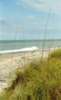 Shoreline 3