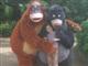 Jungle Book