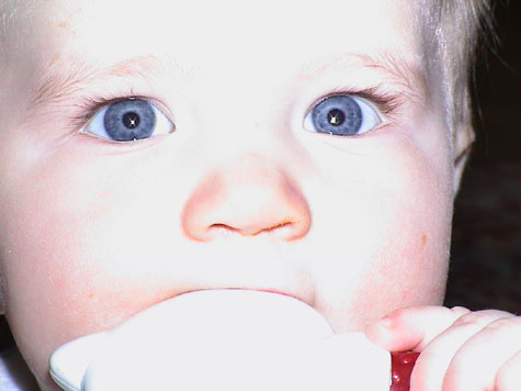 quinn chewing