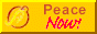 Hague Appeal Youth Network