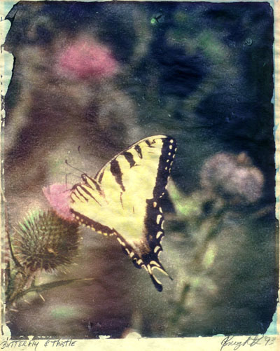 Click for full screen view