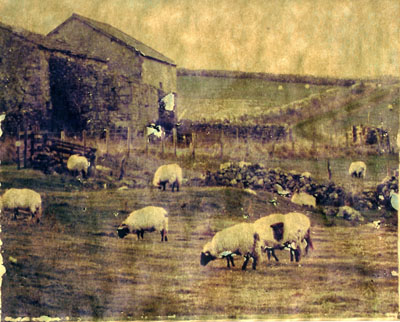 Click to view Images of the north