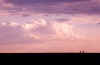 ken silhouette2.jpg (23829 bytes)
