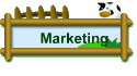 Marketing