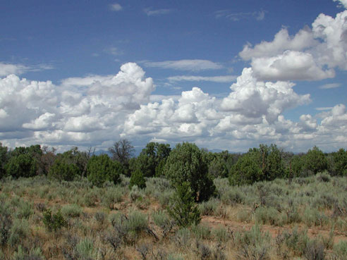 Looking North