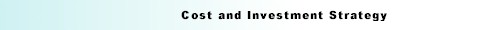 cost and investment strategy