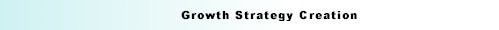 growth strategy creation