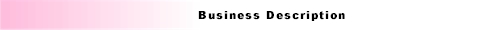 business description