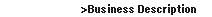 business description