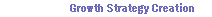 growth strategy creation