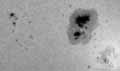001230solarpj-tn.jpg (2888 bytes)