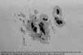 031026ar10486-a-tn.jpg (3414 bytes)