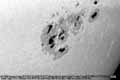 031102ar10486-a-tn.jpg (3874 bytes)