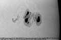 031102ar10488-tn.jpg (3328 bytes)