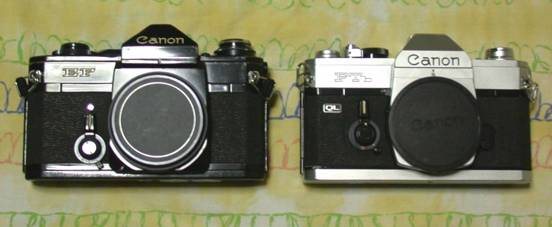 canonslr2.jpg (69024 bytes)