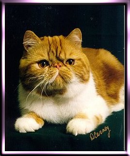 Rustic Purr Motor