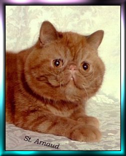 Photo of Stryker