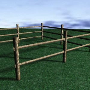 Fencing