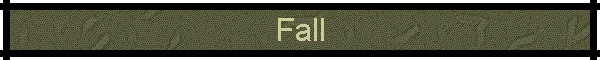 Fall