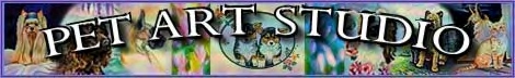 PET ART