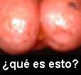 haz clik!