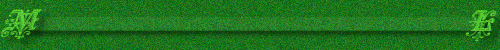 greenspecdvdr.gif (32852 bytes)