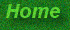 greenspechome.gif (3513 bytes)